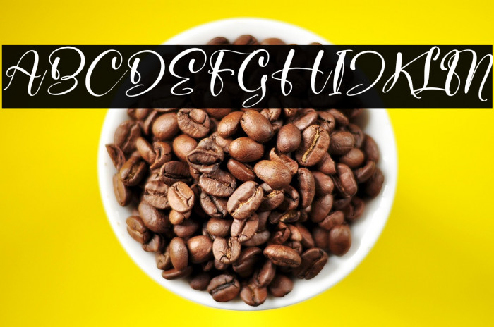 Syalitha Italic Example 2