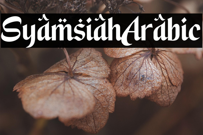 Syamsiah Arabic Example 2