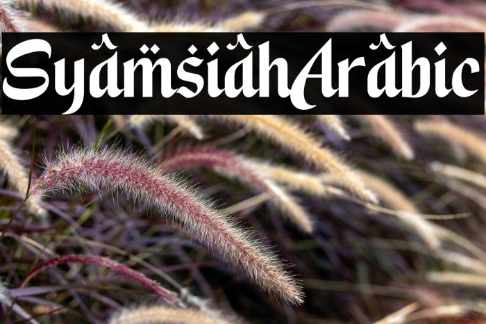 Syamsiah Arabic Example 3