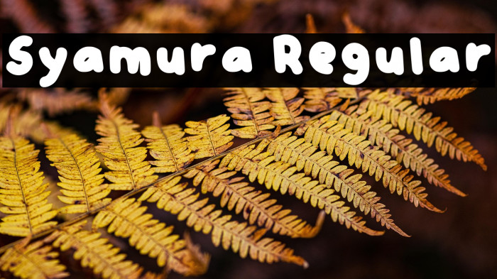 Syamura Regular Example 1