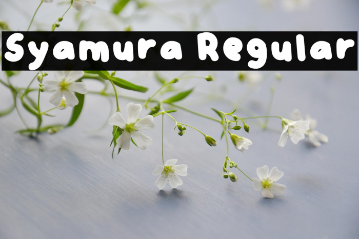 Syamura Regular Example 2