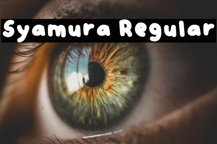 Syamura Regular Example 3