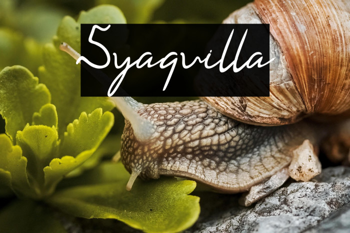 Syaquilla Example 1