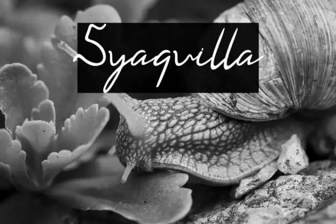 Syaquilla Font examples