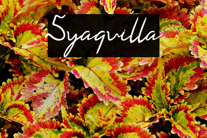 Syaquilla Example 2
