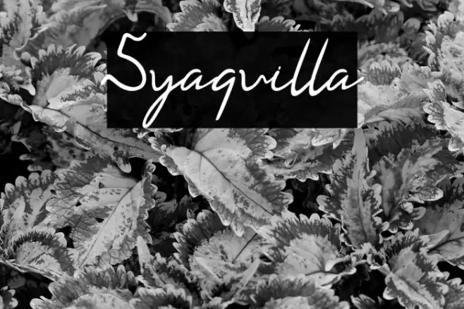 Syaquilla Font examples