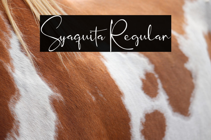Syaquita Regular Example 1
