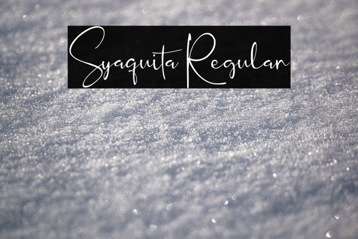 Syaquita Regular Example 2