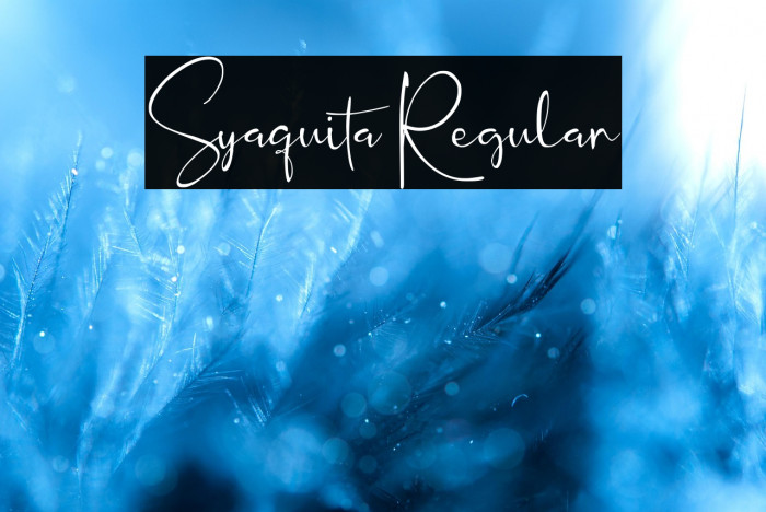 Syaquita Regular Example 3