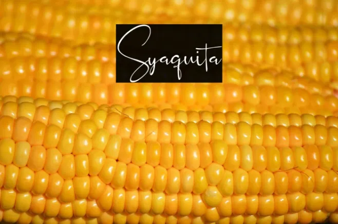 Syaquita Example 2