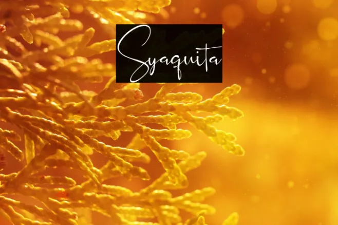 Syaquita Example 3