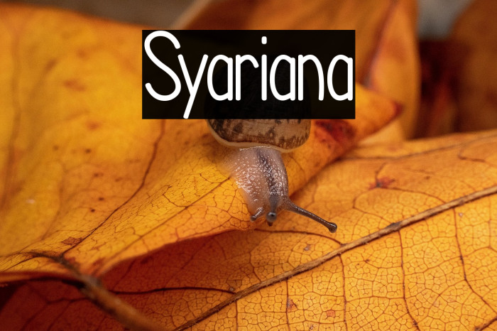 Syariana Example 2