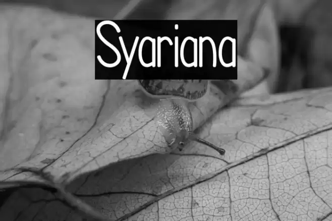 Syariana Font examples