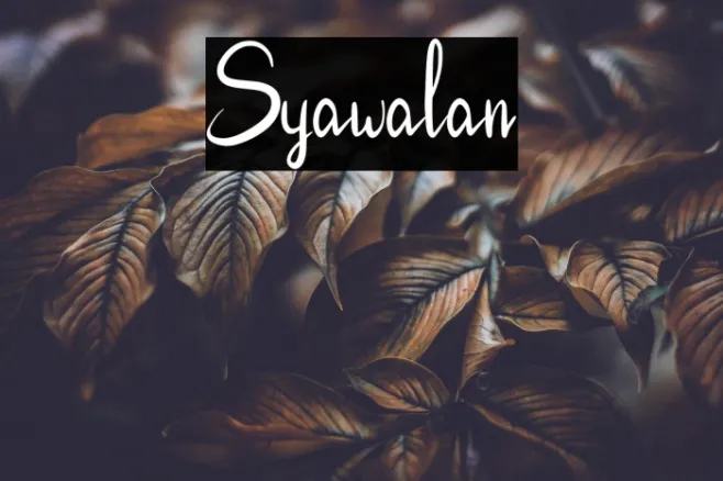 Syawalan Example 2
