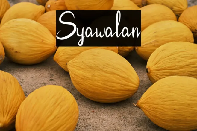Syawalan Example 3