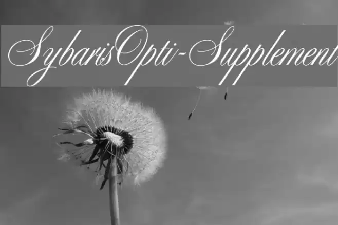 SybarisOpti-Supplement  examples