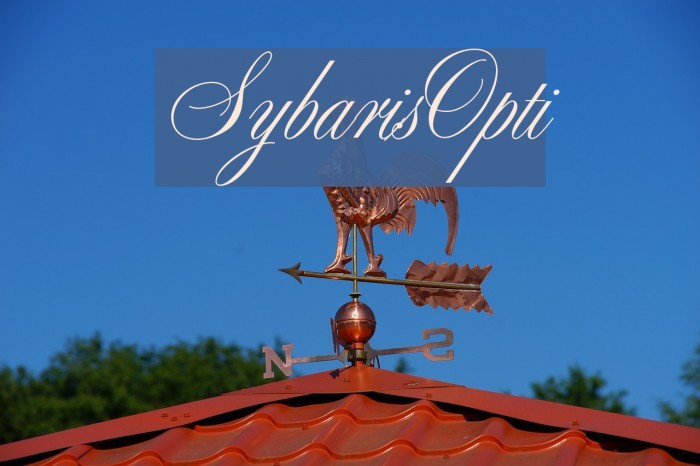 SybarisOpti Font examples