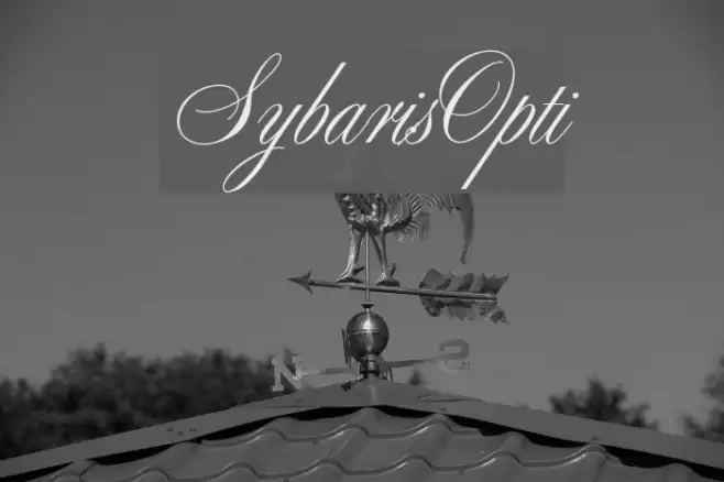 SybarisOpti  examples