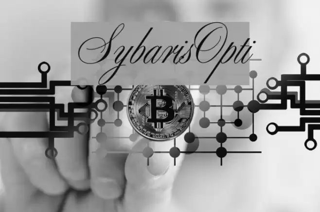 SybarisOpti  examples