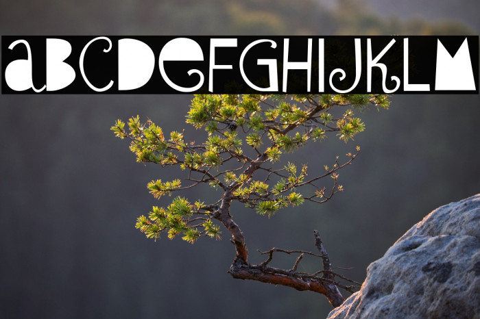 SybilGreen-Regular Example 3