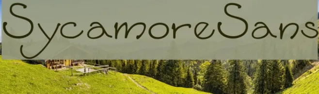 SycamoreSans Example 1