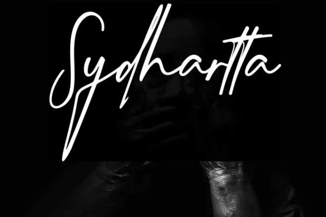 Sydhartta Example 1