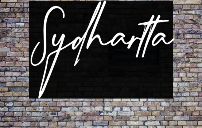 Sydhartta Example 2