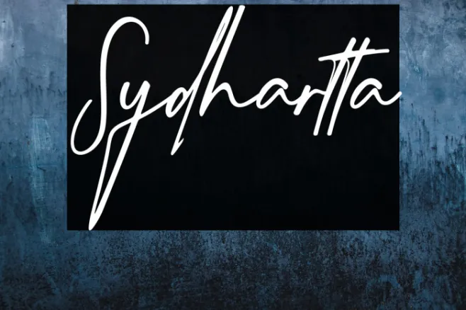 Sydhartta Example 3