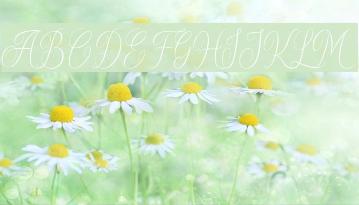 SydneeDemo Font examples