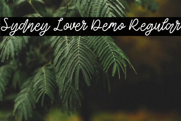 Sydney Lover Demo Regular Example 1