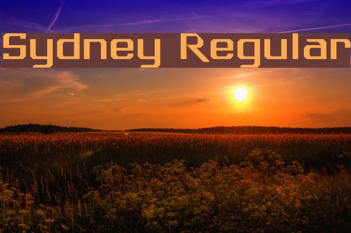 Sydney Regular Font examples