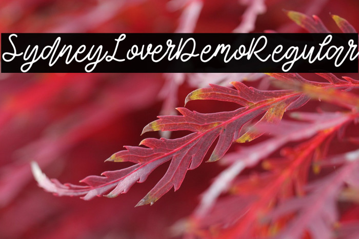 SydneyLoverDemo-Regular Example 1