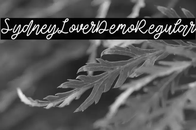 SydneyLoverDemo-Regular Fuentes examples