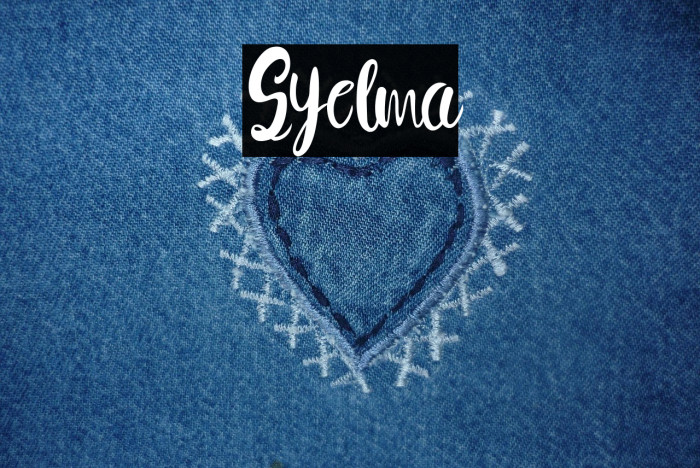 Syelma Example 1