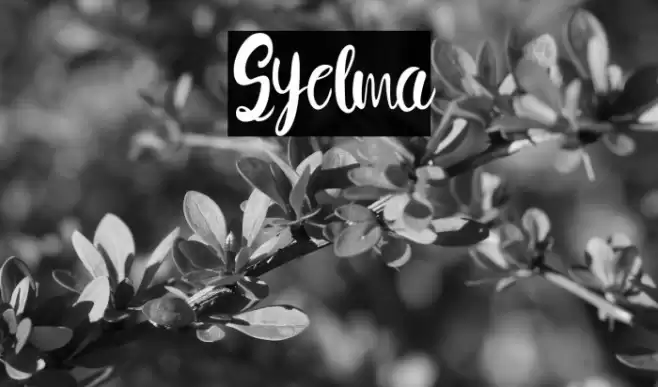 Syelma Font examples