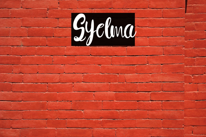 Syelma Example 3