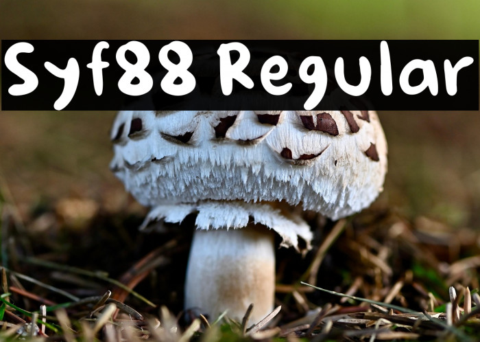 Syf88 Regular Example 1