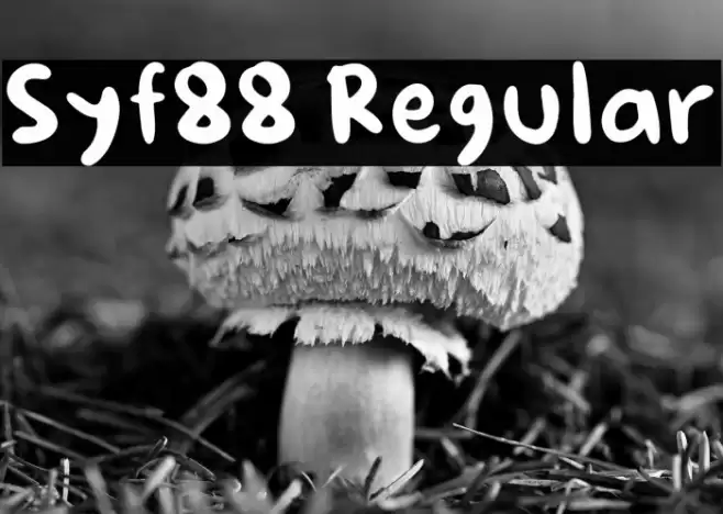 Syf88 Regular Font examples