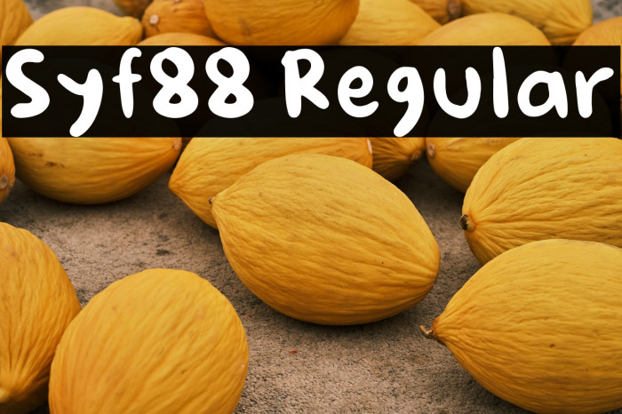 Syf88 Regular Example 3