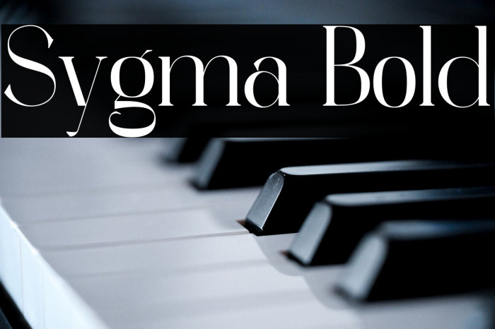 Sygma Bold Example 1