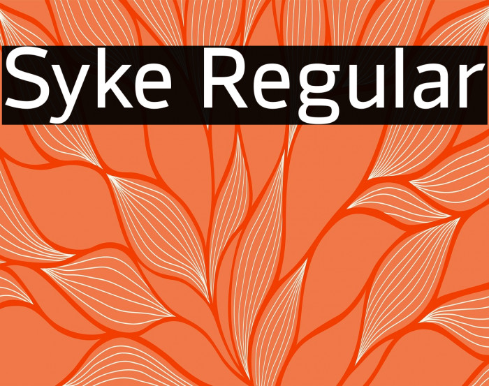 Syke Regular Example 1