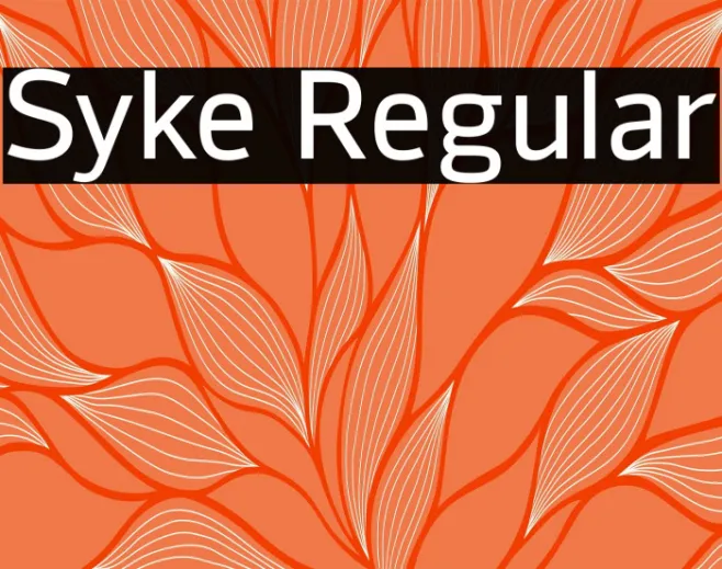 Syke Regular Example 1