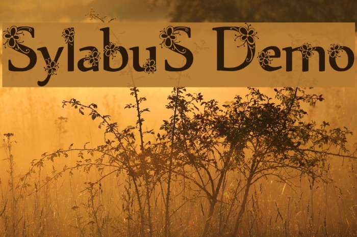 Sylabus Demo Font examples