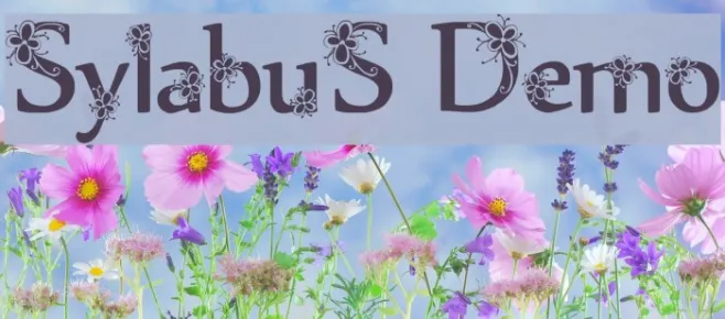 Sylabus Demo Example 3