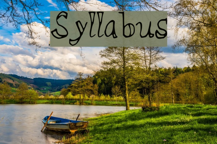 Syllabus Font examples
