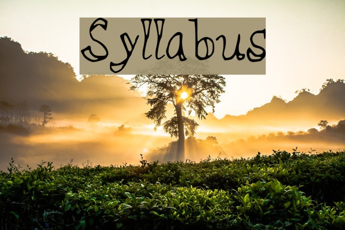 Syllabus Font examples