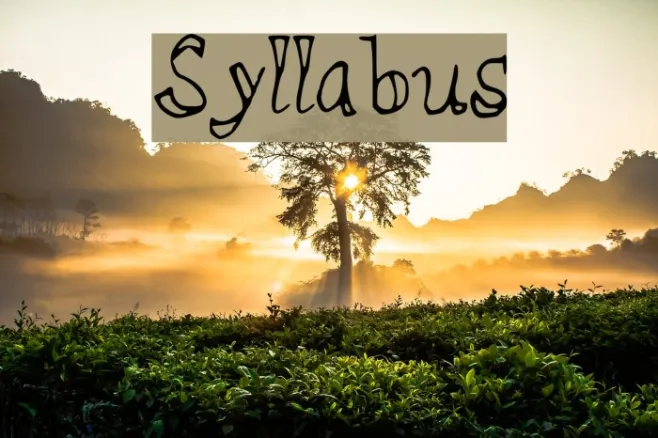 Syllabus Example 3