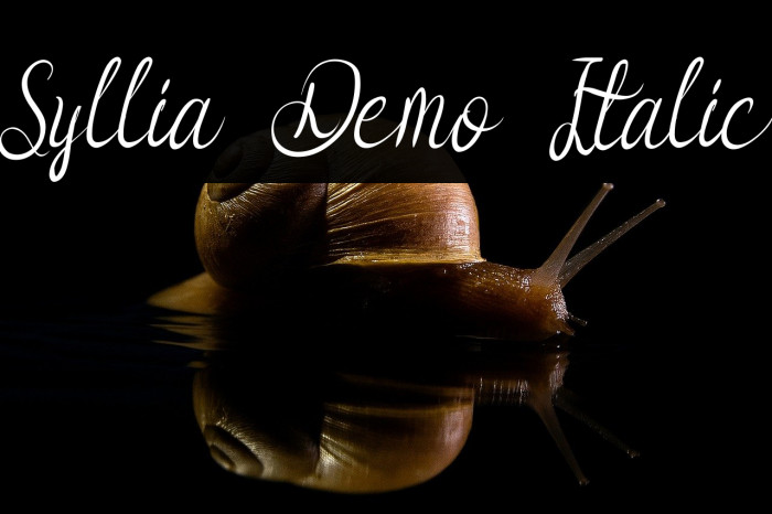 Syllia Demo Italic Example 2