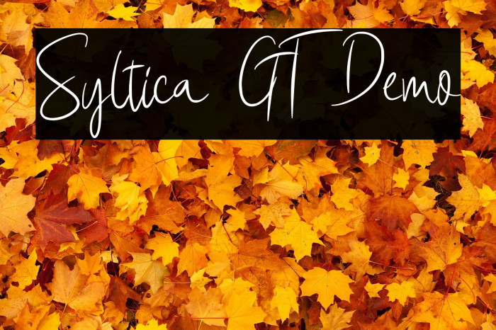 Syltica GT Demo Example 1