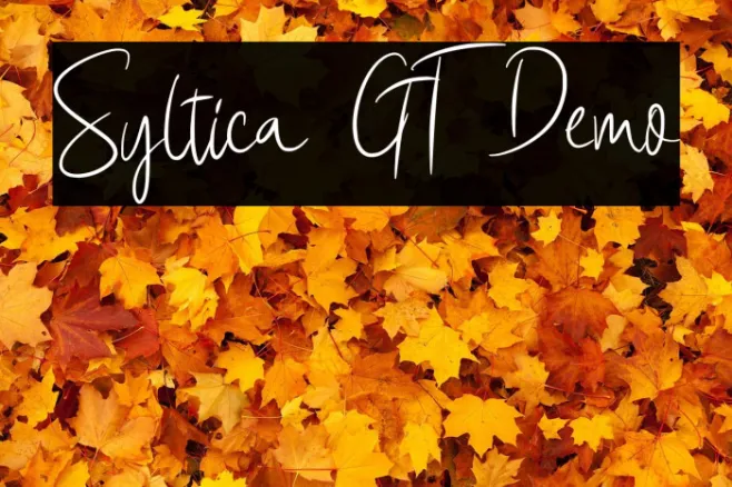Syltica GT Demo Example 1